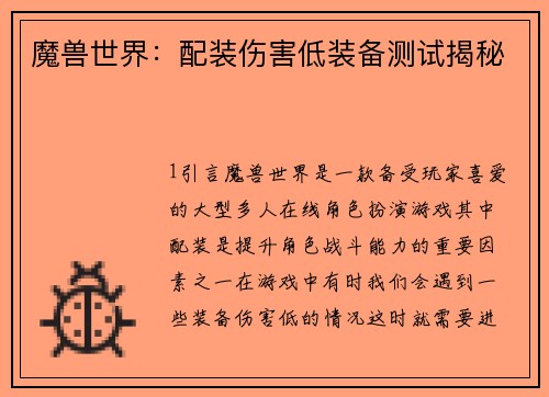 魔兽世界：配装伤害低装备测试揭秘