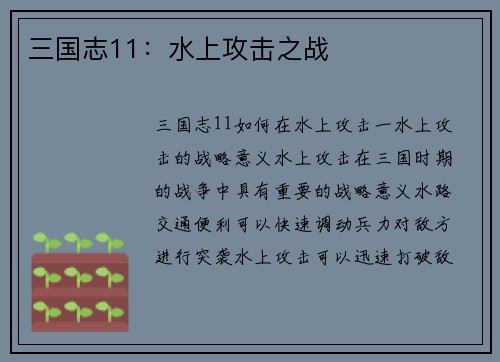 三国志11：水上攻击之战